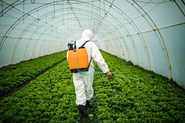 Best Pest Inspection Near Me  in Indian Hills, KY