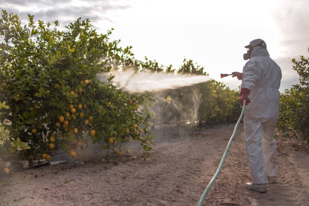 Best Local Pest Control Services  in Indian Hills, KY